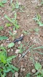 20160609_112344.jpg