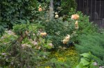 DSC_0383.JPG