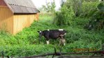 IMG_0021.JPG