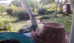 IMG_20160909_155627.jpg