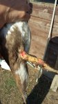 IMG-20161008-WA0002.jpg
