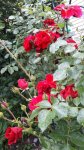 20160702_170310.jpg