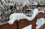 DSC_0150.JPG