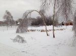 IMG_6950.JPG
