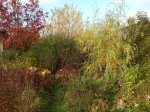 IMG_20141006_105322.jpg