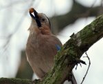DSC_5183-min.JPG