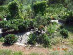 DSCN1107.JPG