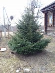 20170416_110358.jpg