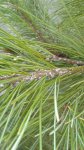 IMG_20170510_192453.jpg