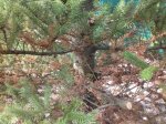 20170612_161908.jpg