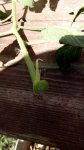 IMG_20170711_095847.jpg