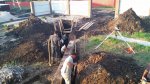20170714_201005.jpg