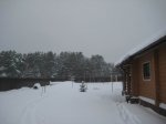 IMG_7234_2.jpg