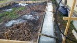 20170726_053909.jpg