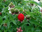 DSCF4689.JPG
