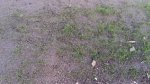 20170913_054804.jpg