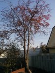 IMG_20171012_120130.jpg