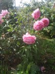 20170917_121100.jpg