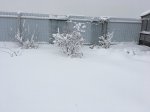 F8F0D933-CAEA-4677-965A-42A963C406F3.jpeg