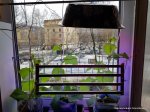 20180403_095750.jpg