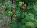 DSCN2878.JPG