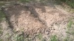 IMG-20180620-WA0001.jpg