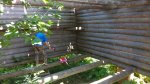 IMG-20180701-WA0017.jpg