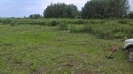 WP_20180721_19_35_06_Pro.jpg