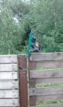 20180723_165520.jpg