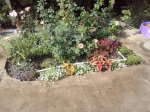20180804_090952.jpg