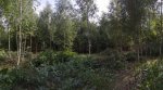 IMG-20180806-WA0001.jpg