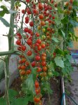 20180803_072046.jpg