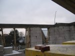 IMG_2550.jpg
