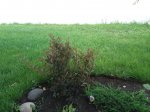 20180718_133510.jpg