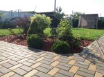 20180706_072449.jpg