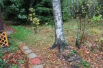 IMG_1858.JPG