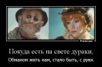 Дураки.jpg