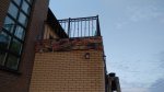 IMG_20181106_074529.jpg