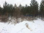 E0D4345E-D22F-4A68-99F5-415EEAD8C8F8.jpeg
