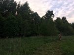 IMG_0778.JPG