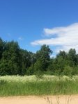 IMG_1087.JPG