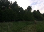 IMG_0777.JPG
