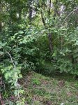IMG_0795.JPG