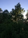 IMG_0815.JPG