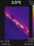 IR000317.JPG