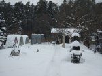 IMG_20190103_174956.jpg