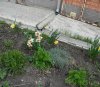 DSCN3129.JPG