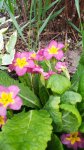 IMG_20190511_155625.jpg