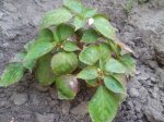 20120513_171819.jpg