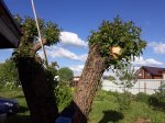 20190526_173440.jpg